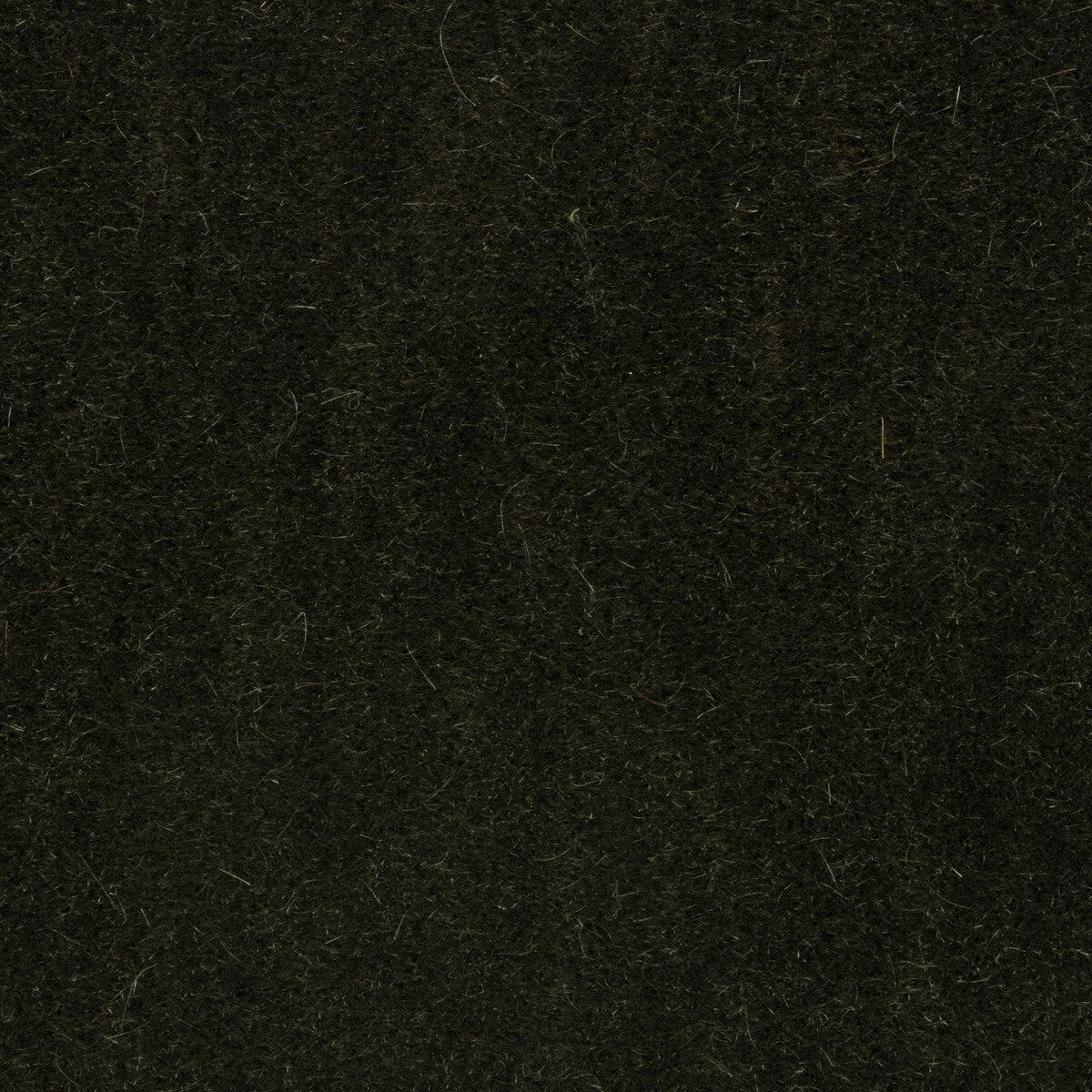 8014101300-bachelor-mohair-thyme-brunschwig-fils