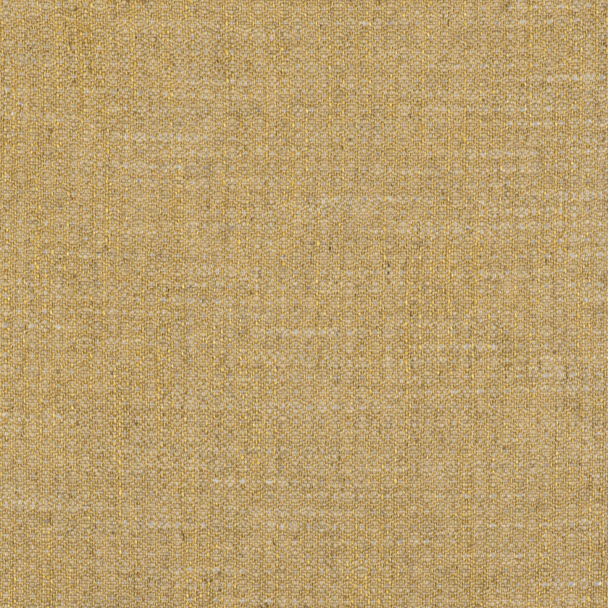 gdt55170050-semilla-oro-gaston-y-daniela