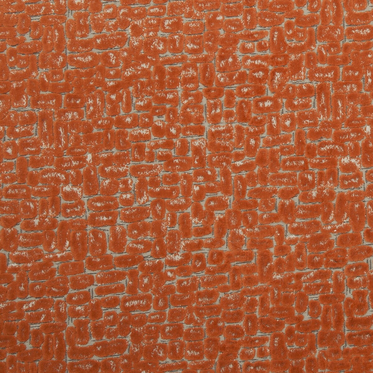 f075210cac0-moda-spice-clarke-and-clarke - CLARKE AND CLARKE Fabric