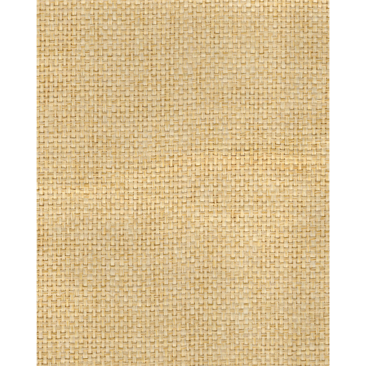 wnr2055wt0-noshi-weave-natural-winfield-thybony - WINFIELD THYBONY Wallpaper
