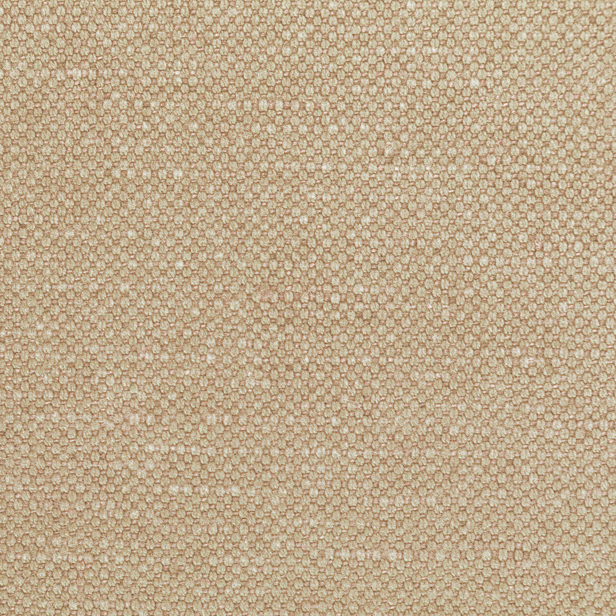 362821160-carson-oatmeal-kravet-basics