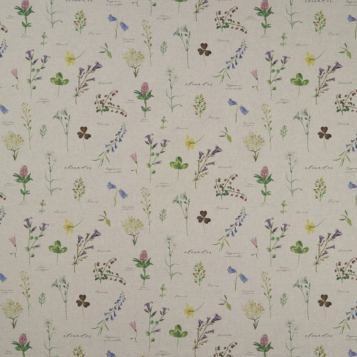f116701cac0-nerium-linen-clarke-and-clarke