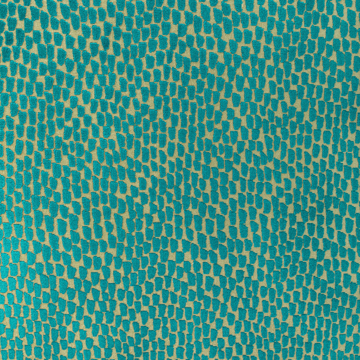 363203540-foundrae-parakeet-kravet-design