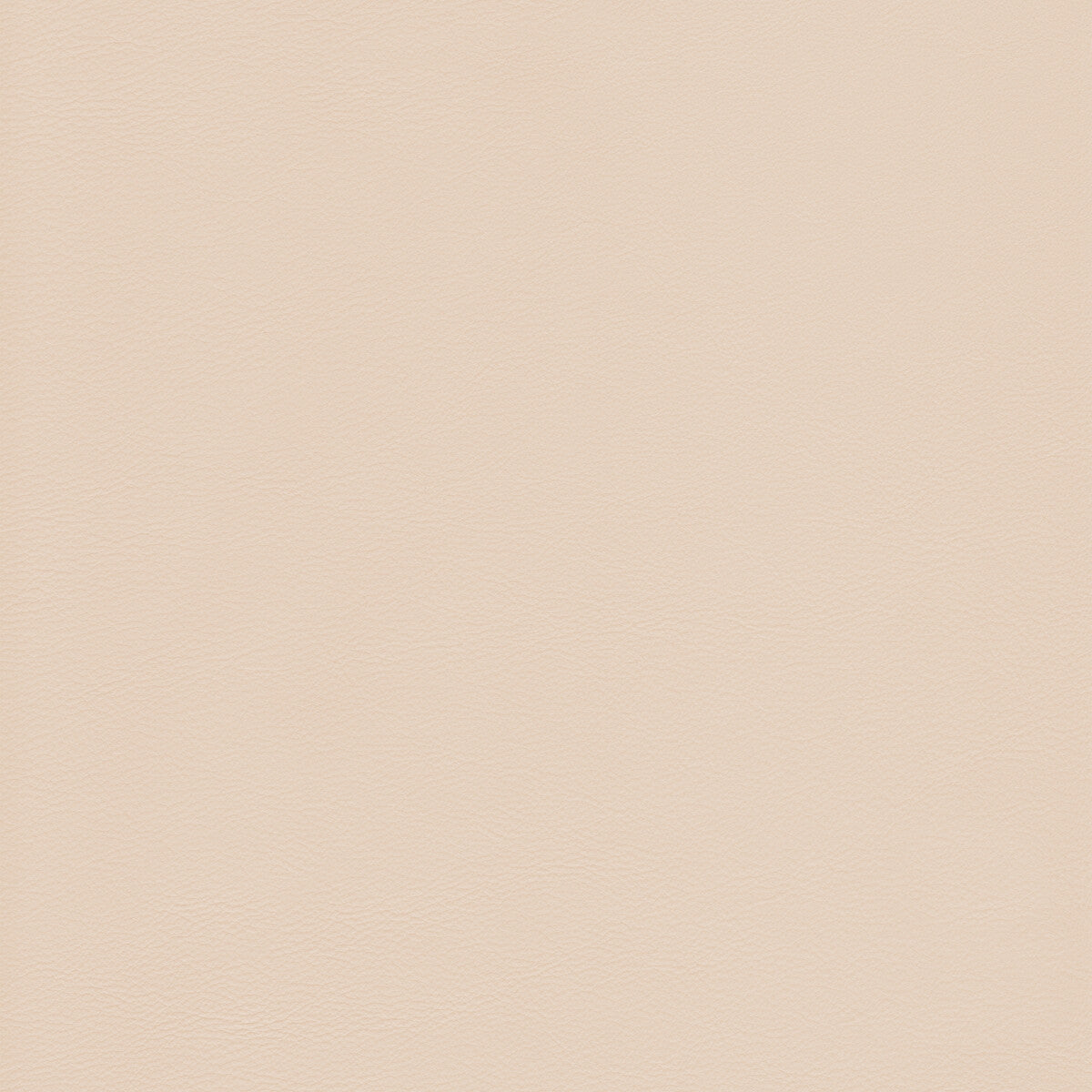 l-howdytusk0-kravet-design-l-howdy-tusk-kravet-design