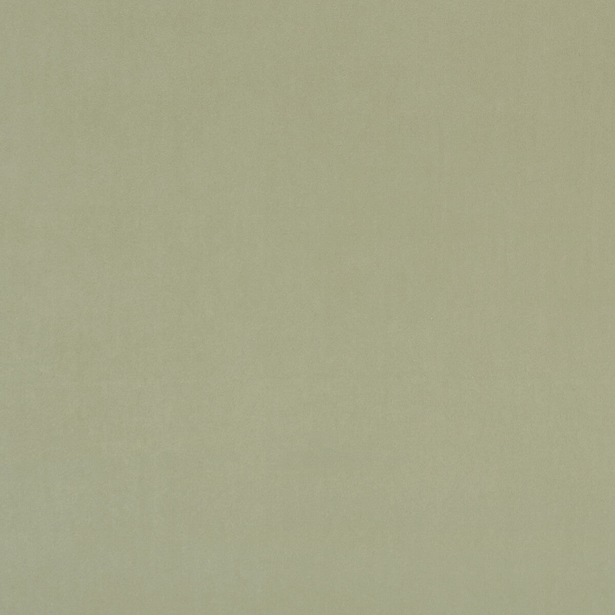 f075398cac0-alvar-thyme-clarke-and-clarke - CLARKE AND CLARKE Fabric