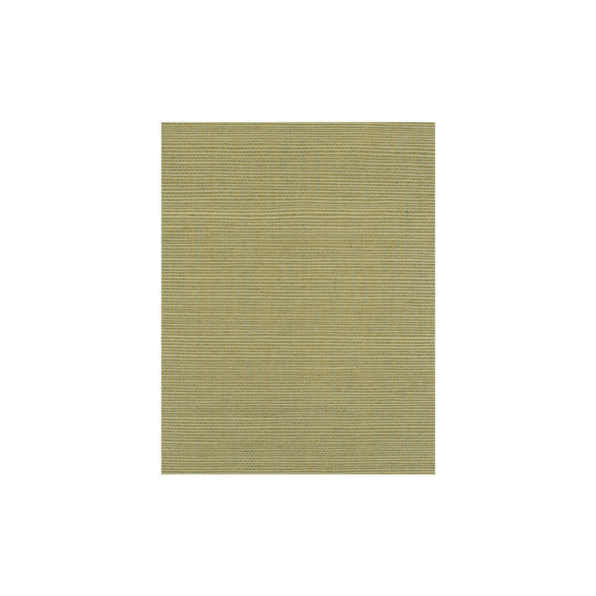 wiw2519wt0-bermuda-celadon-winfield-thybony - WINFIELD THYBONY Wallpaper