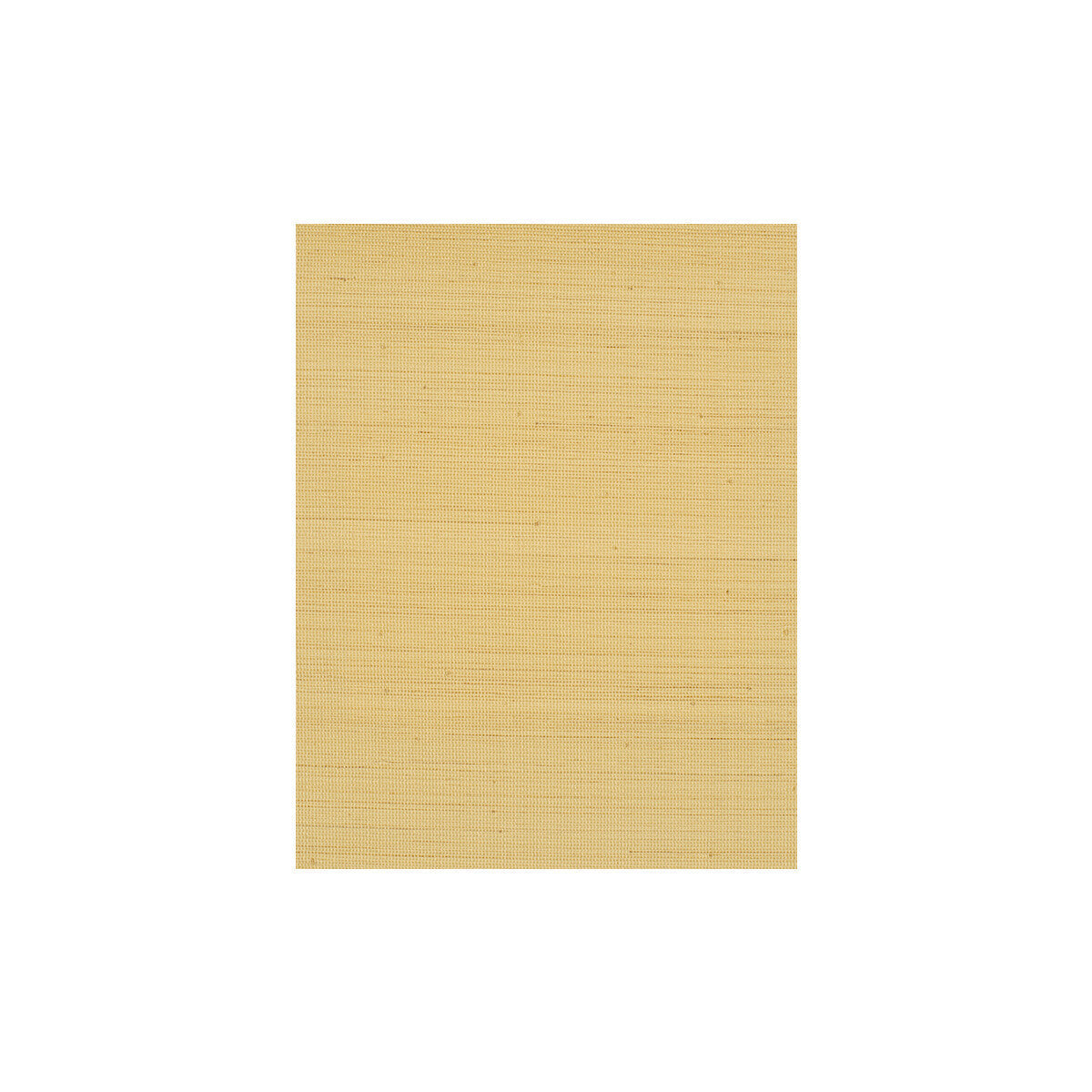 wiw2535wt0-negril-cream-winfield-thybony - WINFIELD THYBONY Wallpaper