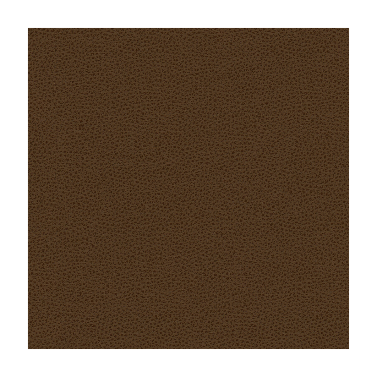 rigel60-kravet-design-rigel-6-kravet-design