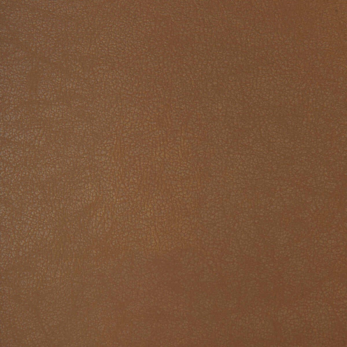 bond60-kravet-design-bond-6-kravet-design