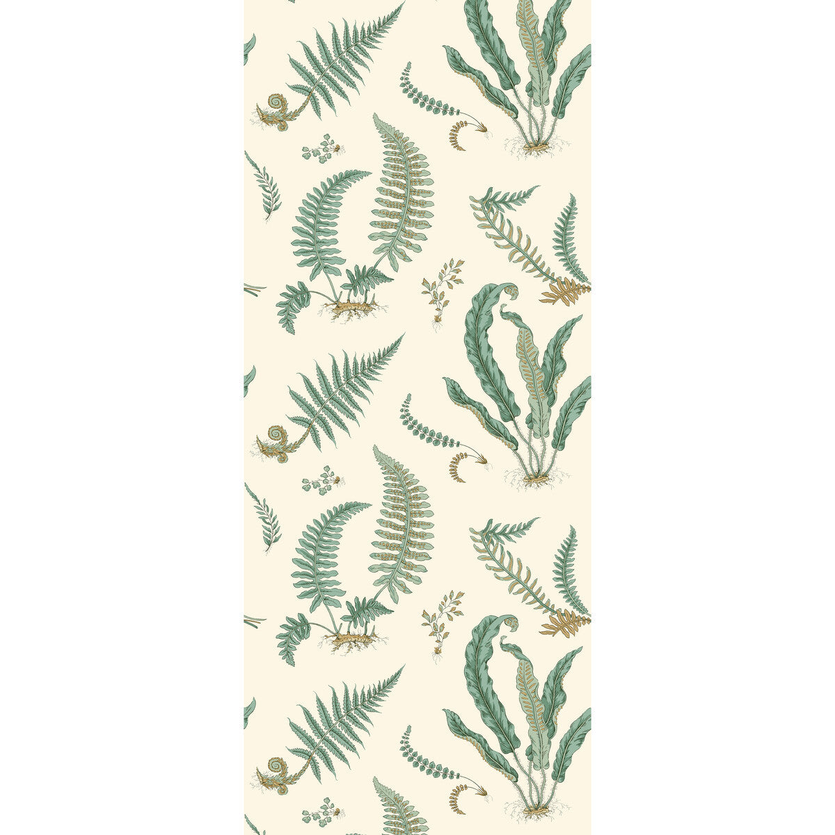 bw4512240-ferns-verdigris-g-p-j-baker
