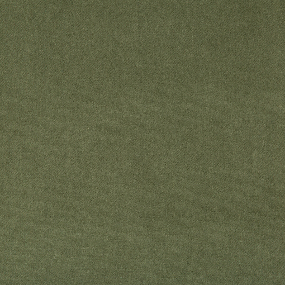 332993130-kravet-basics-33299-313 - KRAVET BASICS Fabric