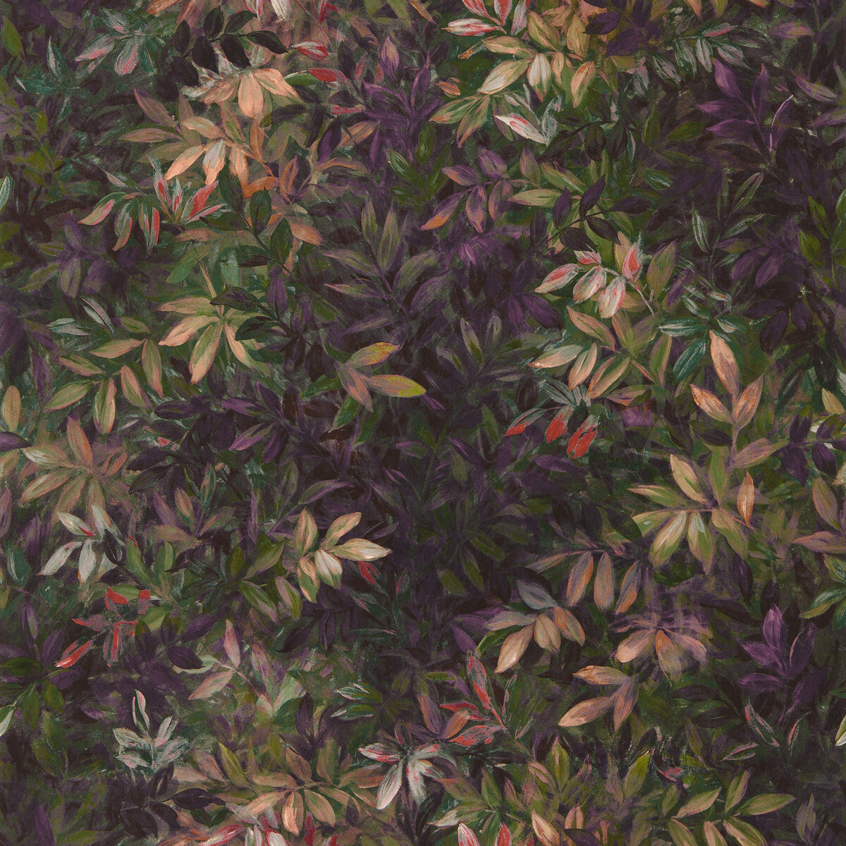 w014001cac0-congo-amethystemerald-wp-clarke-and-clarke - CLARKE AND CLARKE Wallpaper