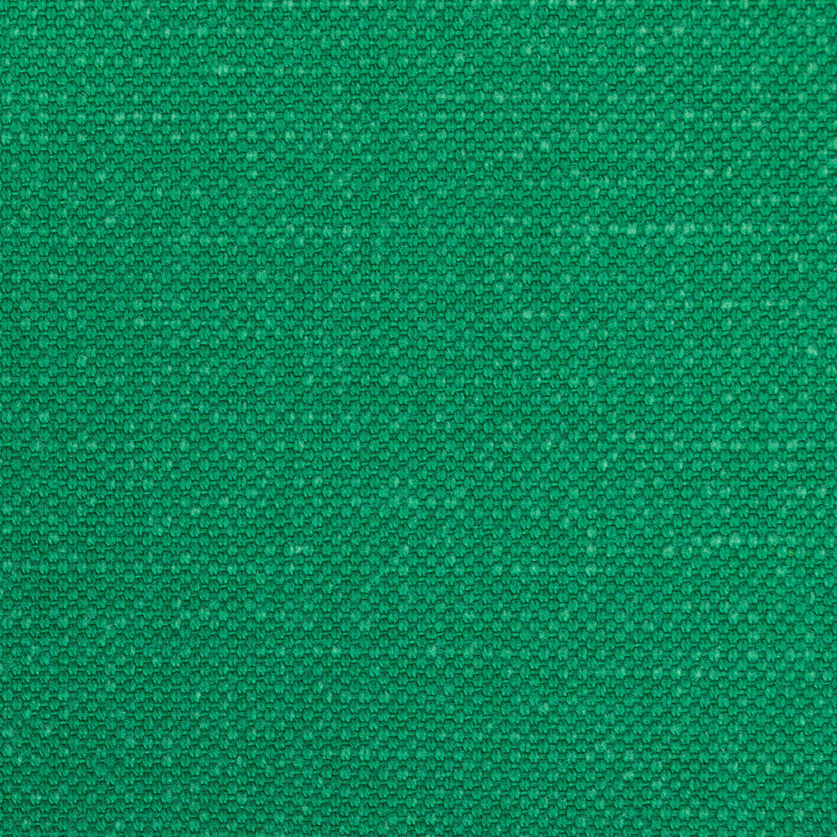 3628230-carson-shamrock-kravet-basics - KRAVET BASICS Fabric