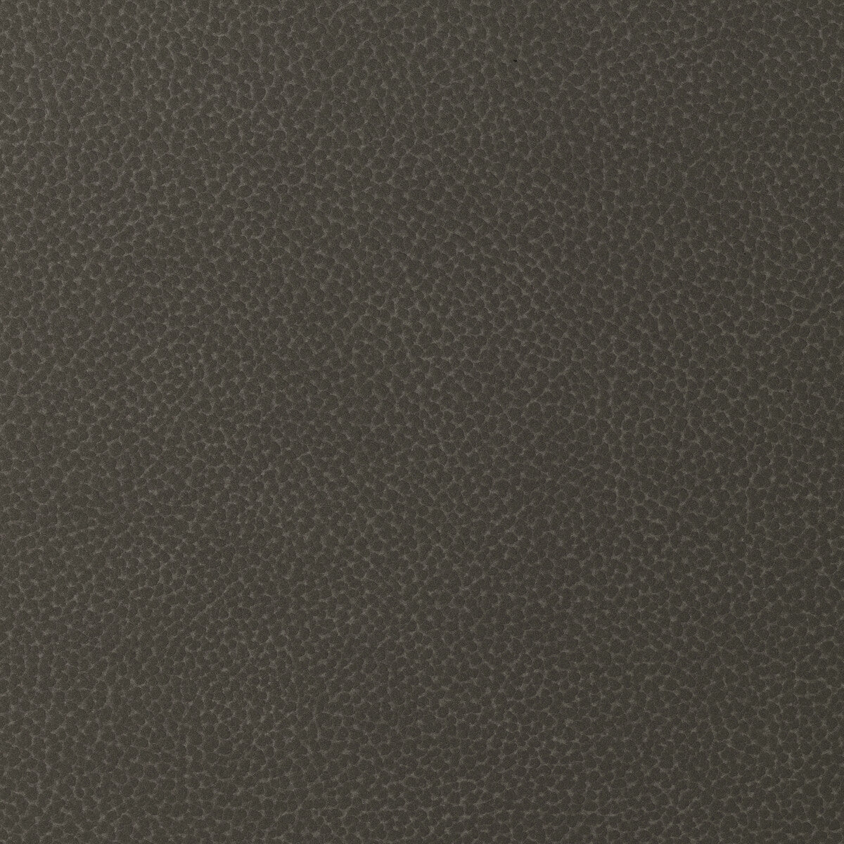 sweetgum860-kravet-design-sweetgum-86-kravet-design