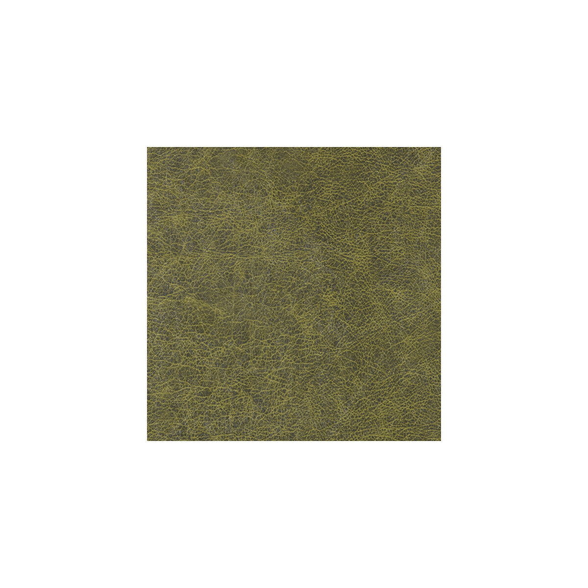 wpw1132wt0-enduring-alligator-skin-winfield-thybony