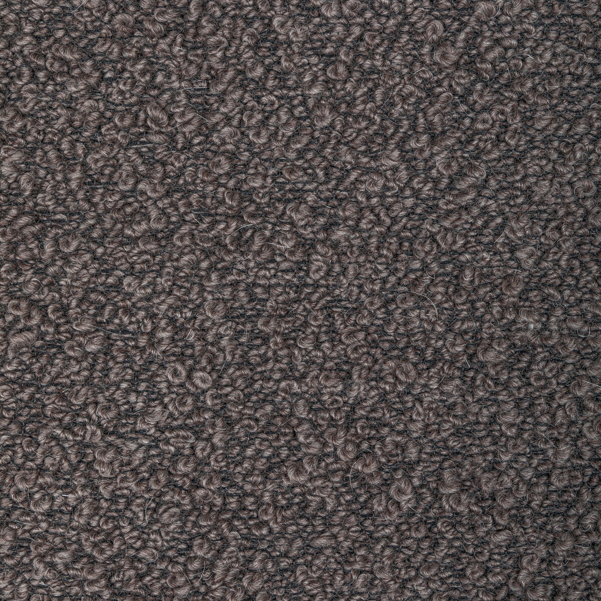 36396210-woolywooly-fig-kravet-couture