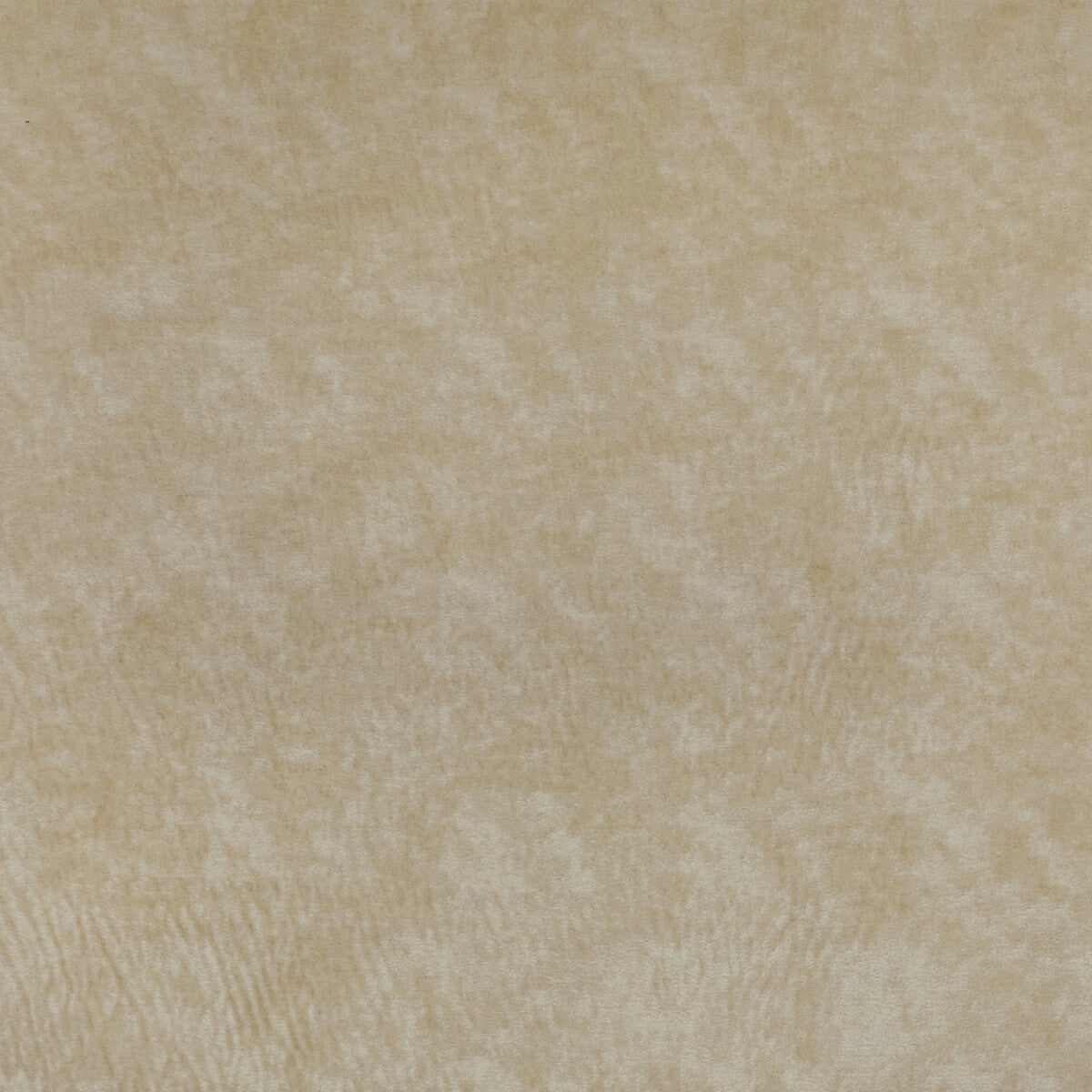 360651160-triumphant-creme-kravet-couture