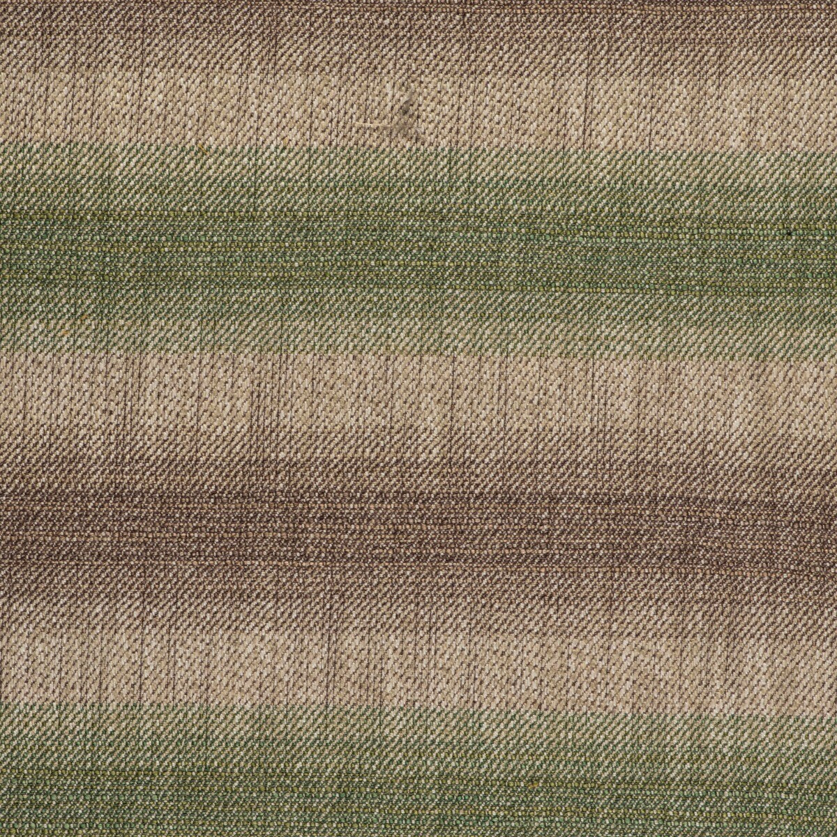 gdt55000030-horizontal-verde-gaston-y-daniela