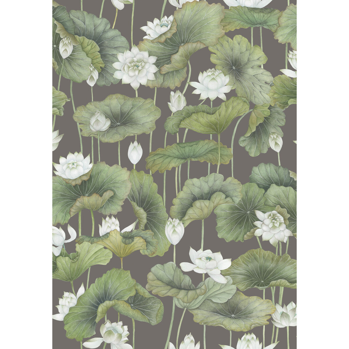 1269033cs0-lily-lotus-whitecharcoal-cole-son - COLE & SON Wallpaper