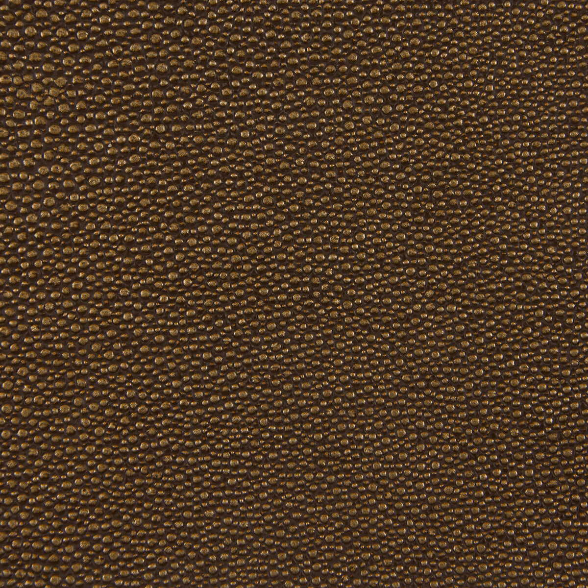 trezzo60-kf-des-kravet-design - KRAVET DESIGN Fabric