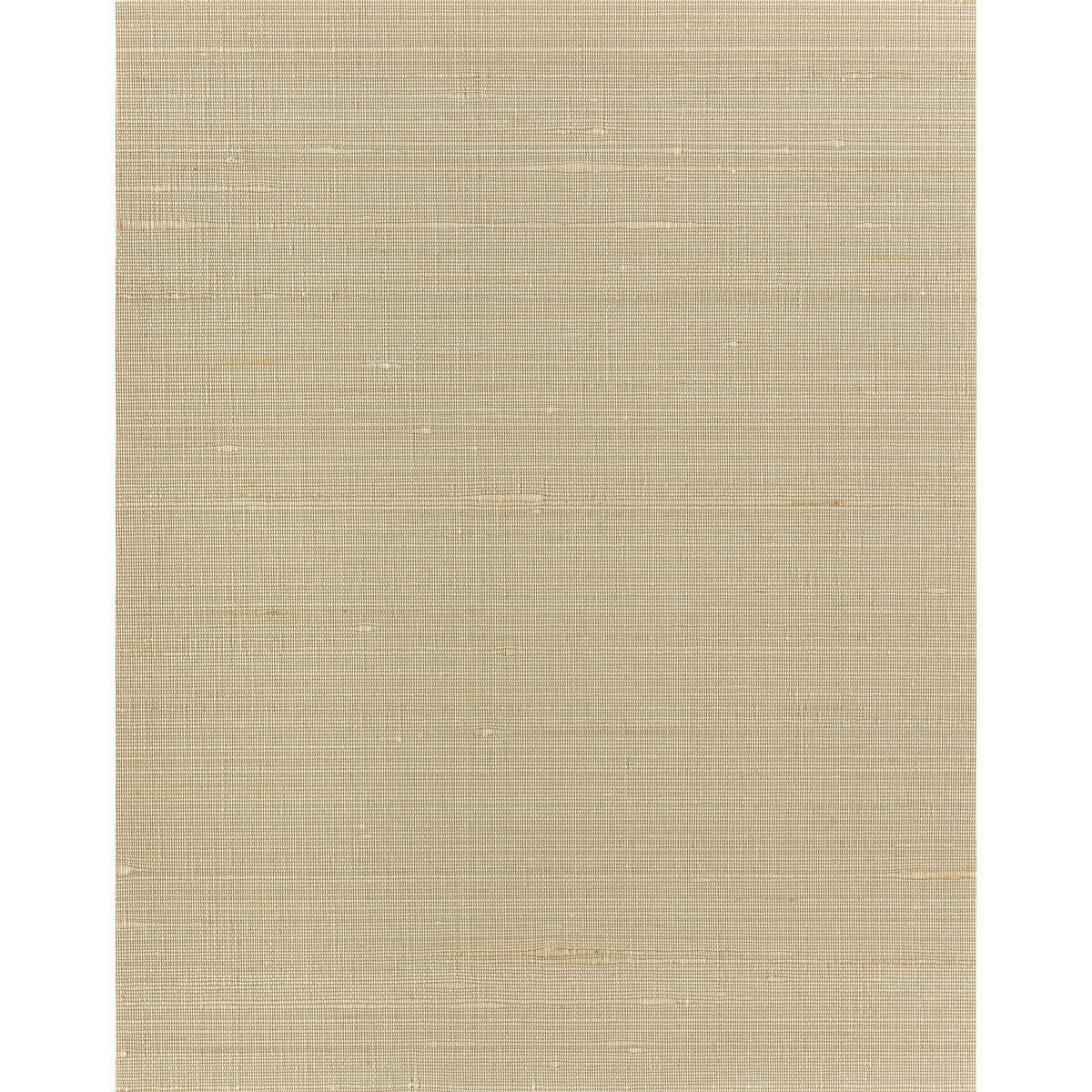 wns5564wt0-ambrose-desert-winfield-thybony - WINFIELD THYBONY Wallpaper