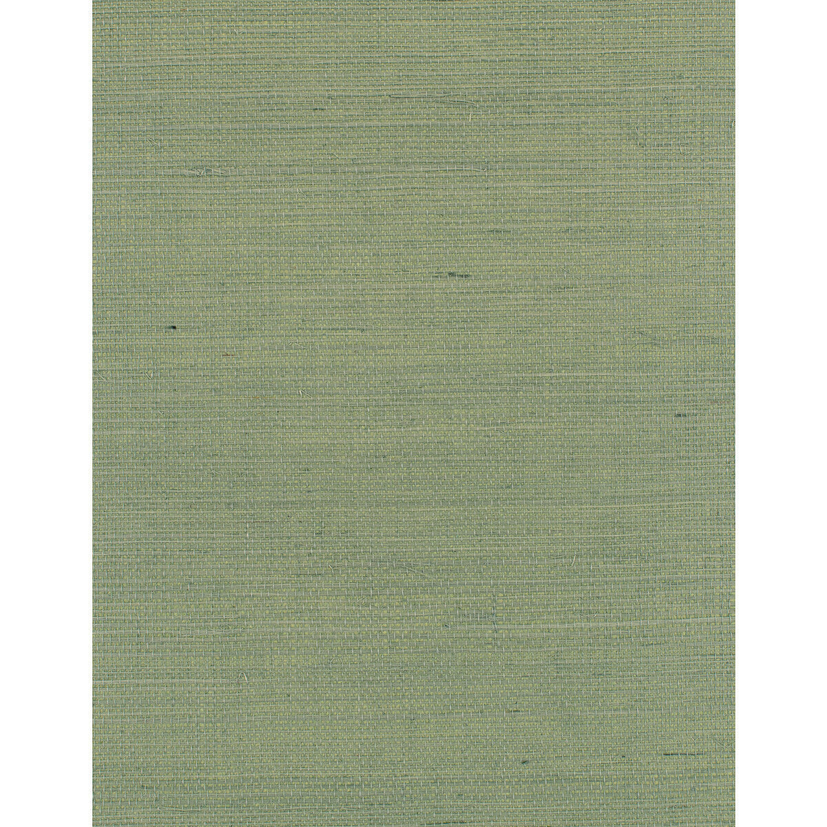 wdw2412wt0-distinctive-sisals-cactus-winfield-thybony - WINFIELD THYBONY Wallpaper