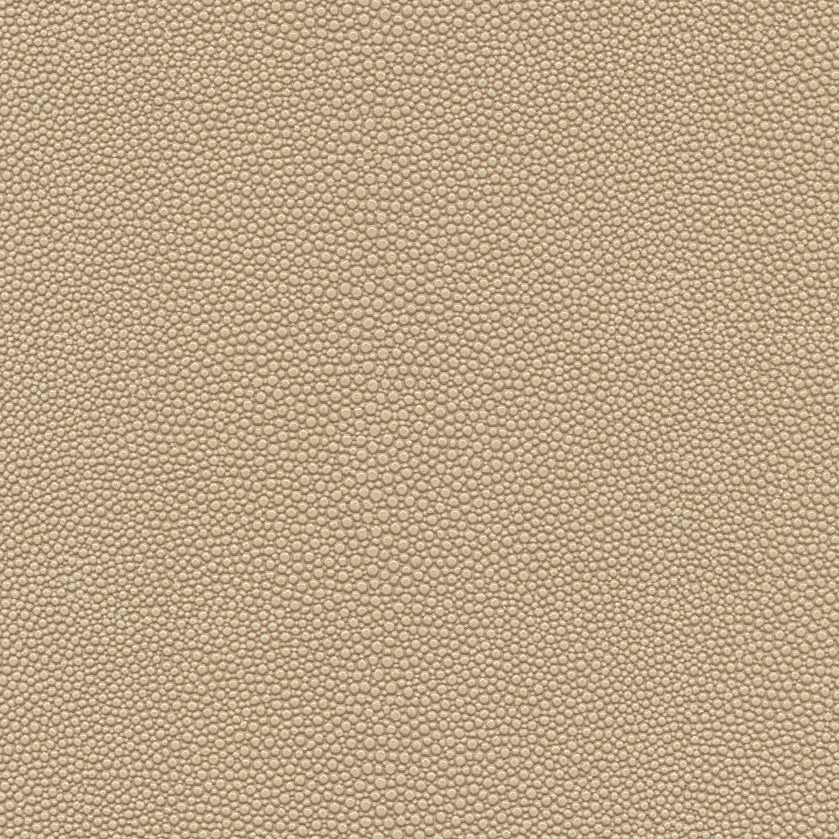 mindy210-kravet-design-mindy-21-kravet-design