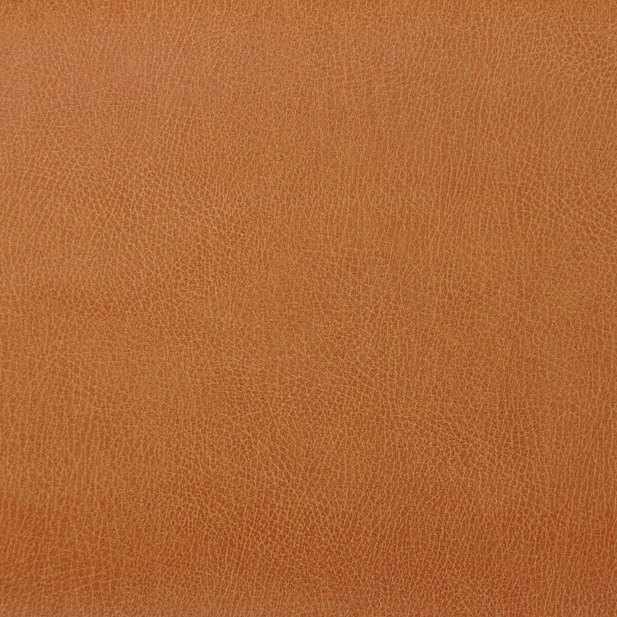 caswell120-kravet-design-caswell-12-kravet-design