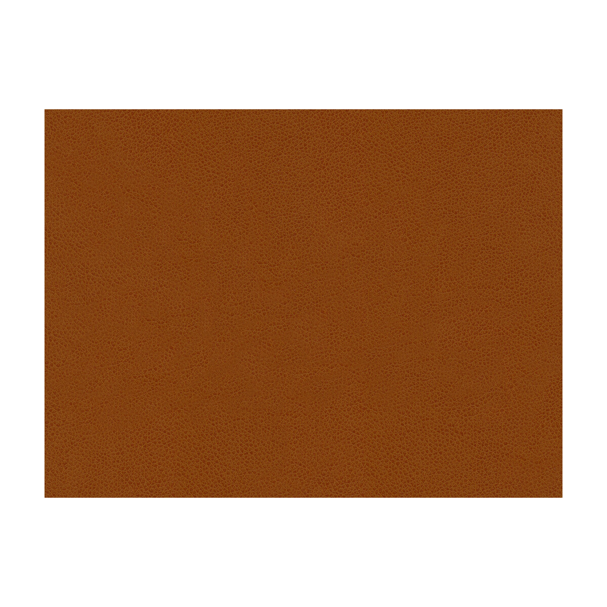 abilene240-abilene-penny-kravet-contract