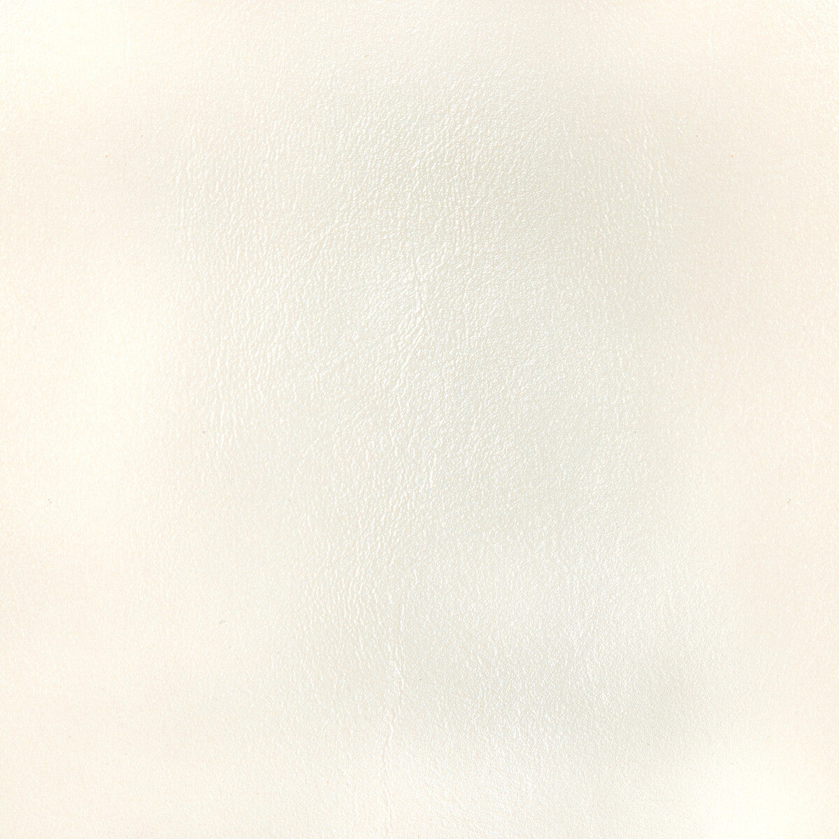 l-botaivory0-kravet-design-l-bota-ivory-kravet-design
