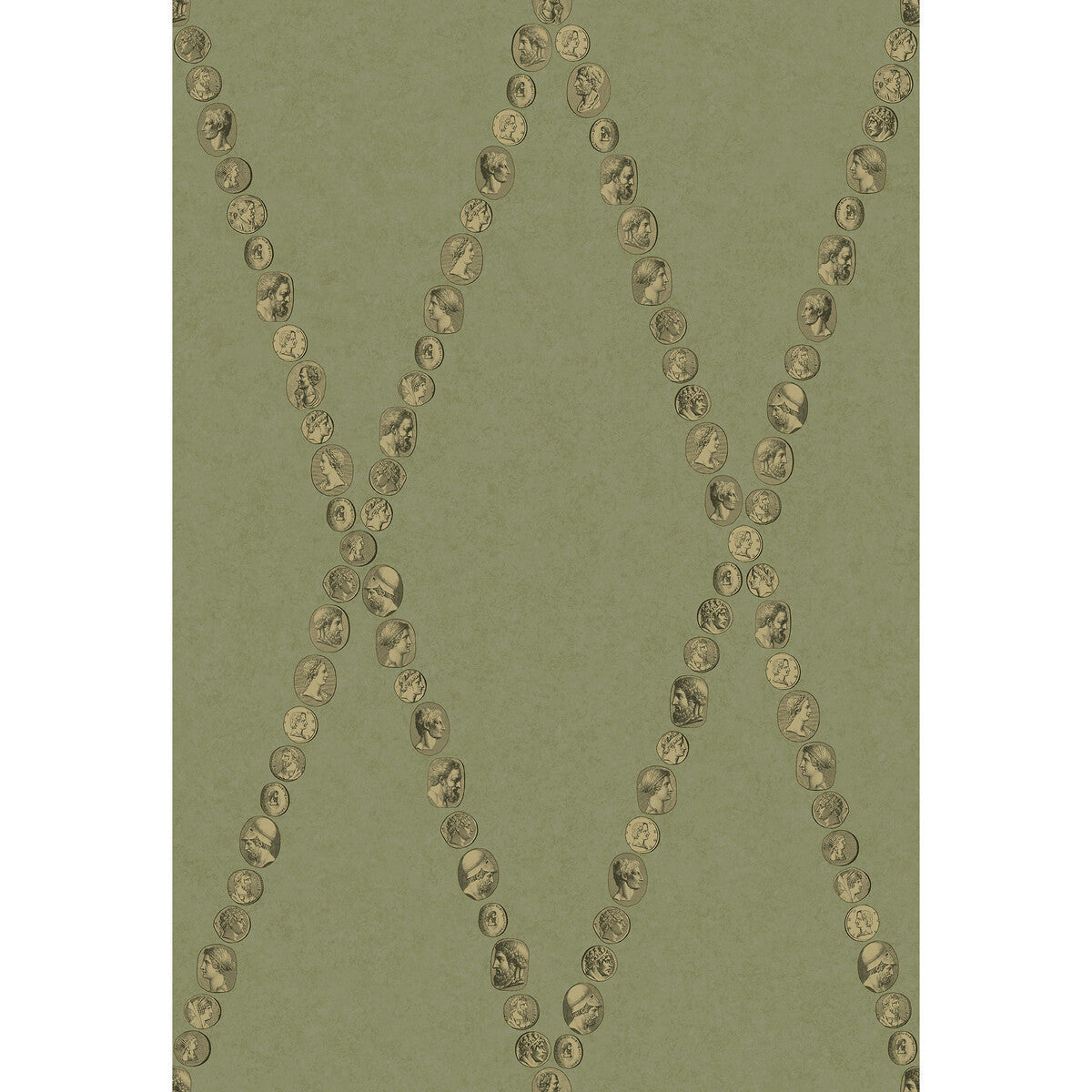 1234016cs0-cammei-olive-cole-son