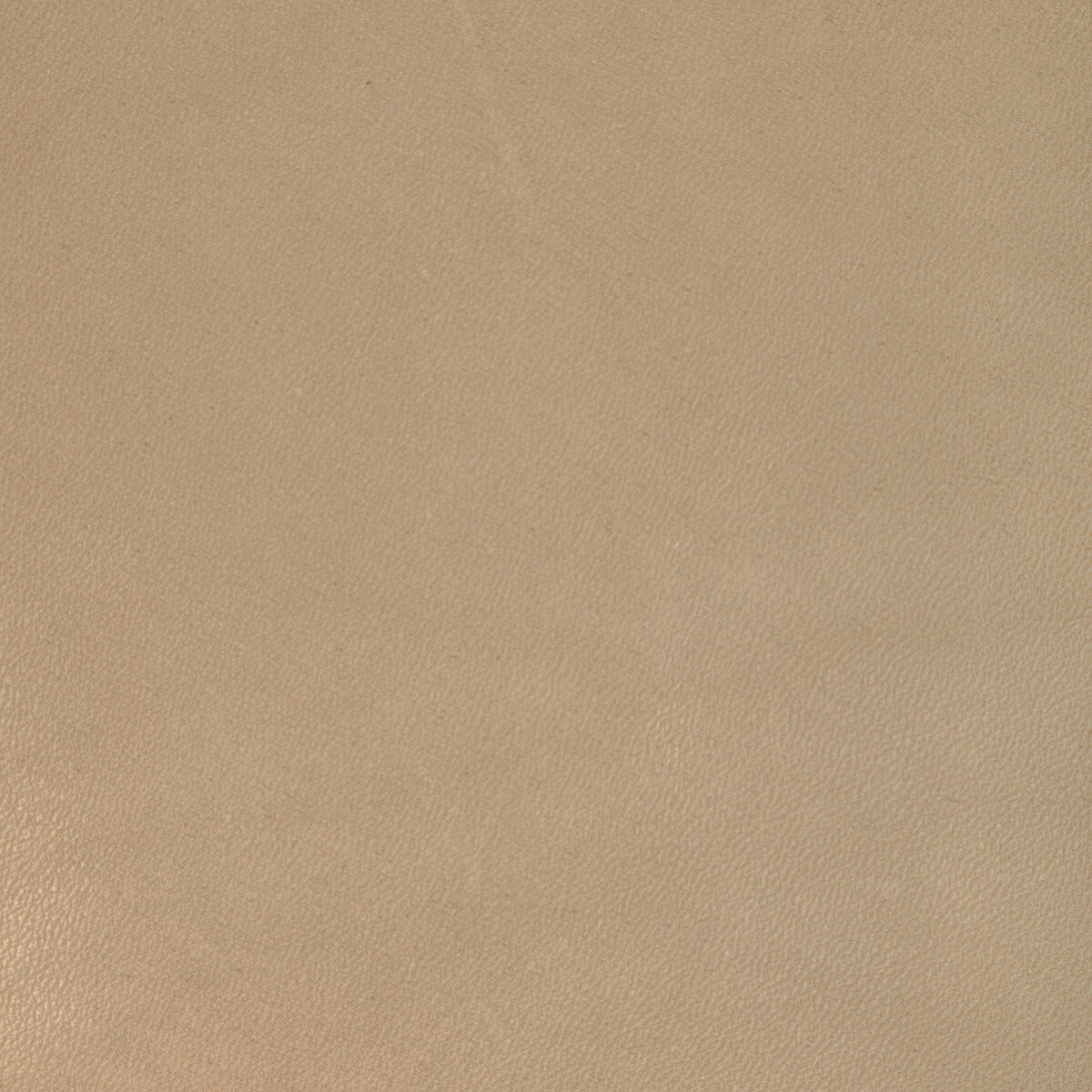 l-coirotan0-kravet-design-l-coiro-tan-kravet-design