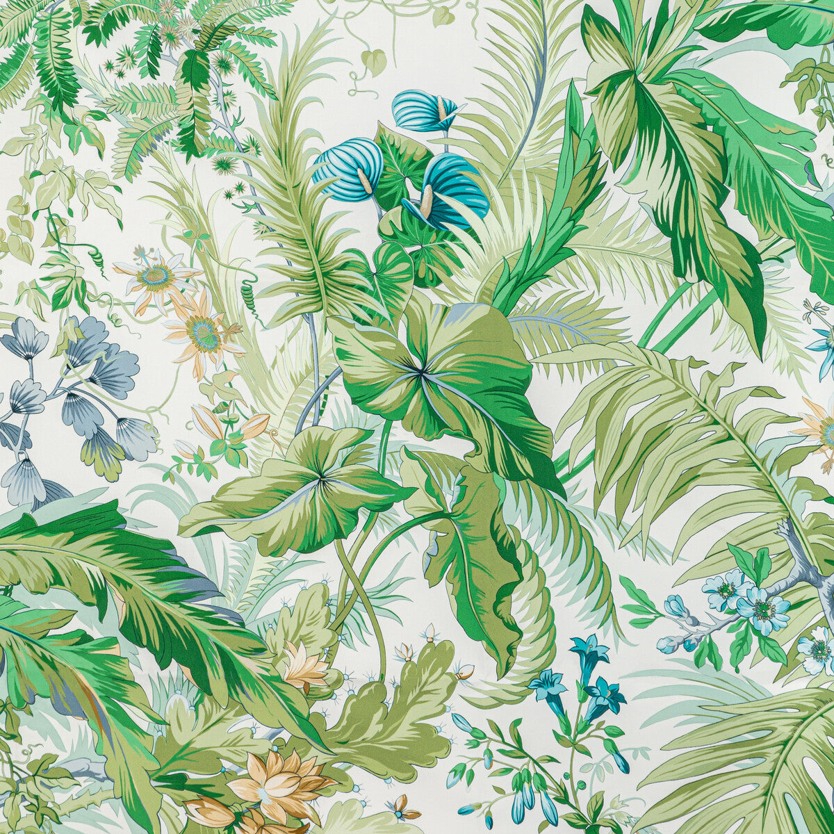 80221361530-majorelle-print-mist-brunschwig-fils