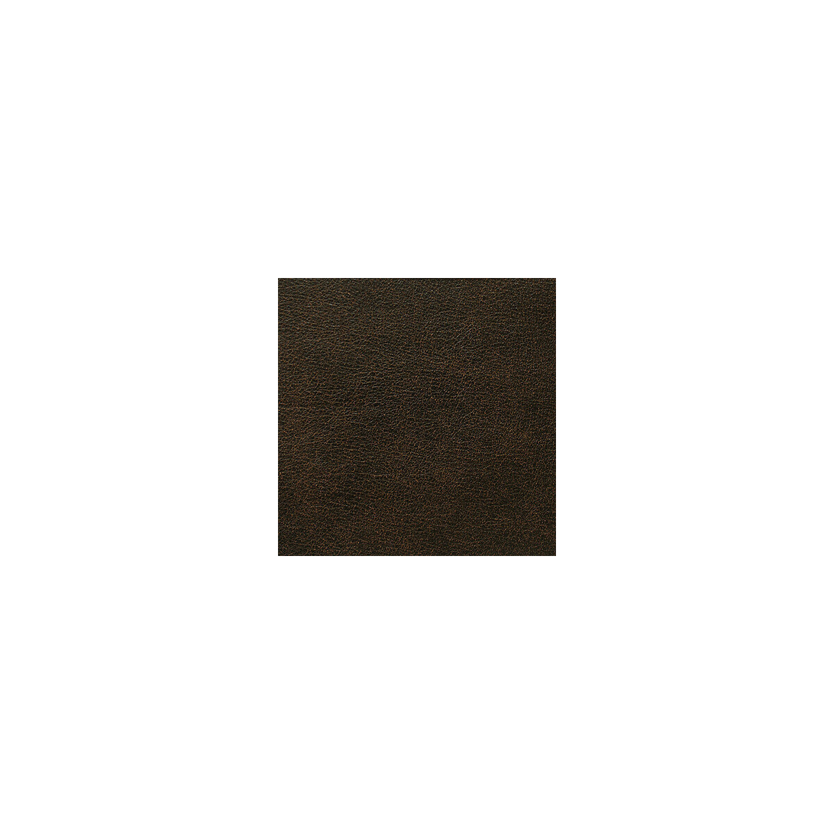 l-rodeocigar0-l-rodeo-cigar-kravet-design