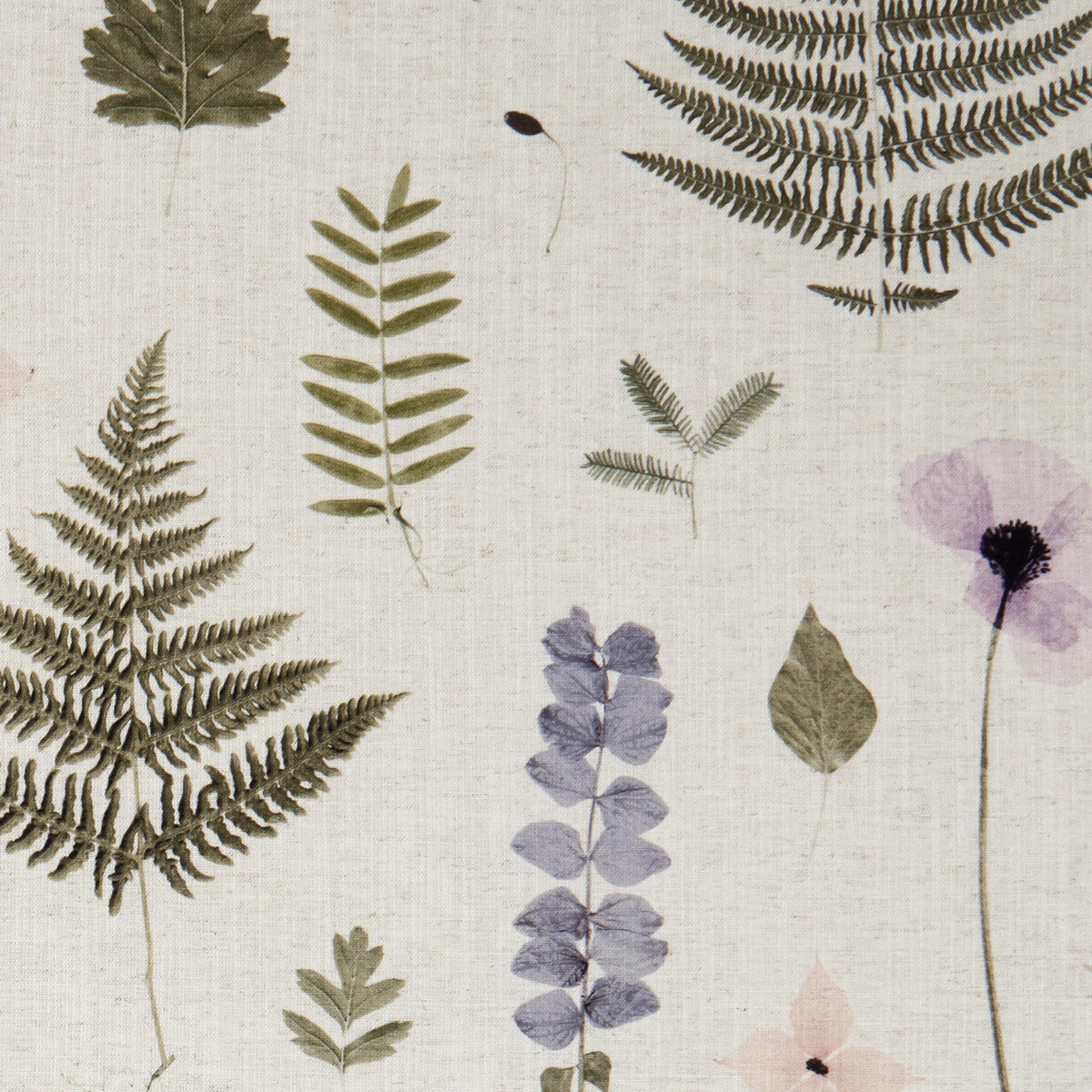 f108901cac0-herbarium-blushnatural-clarke-and-clarke