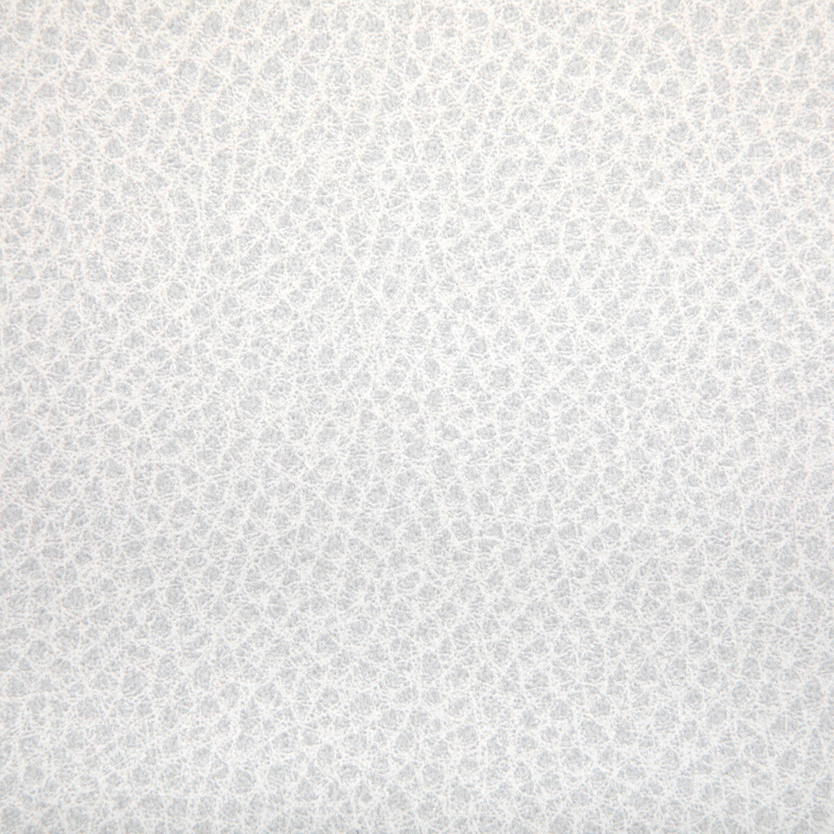 woolf1010-woolf-fossil-kravet-contract