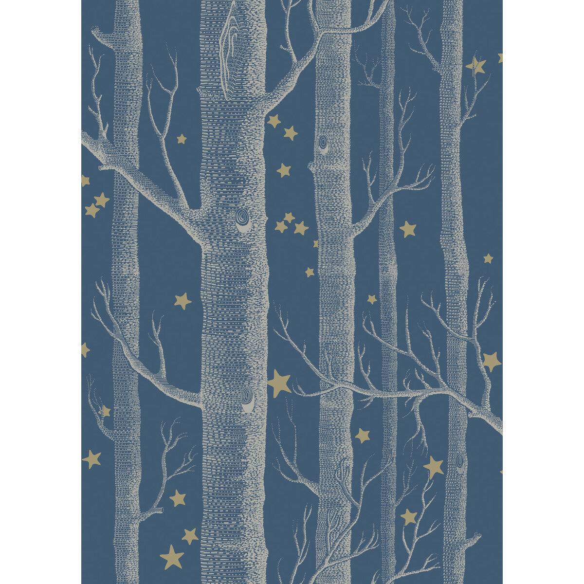 10311052cs0-woods-stars-midnight-cole-son
