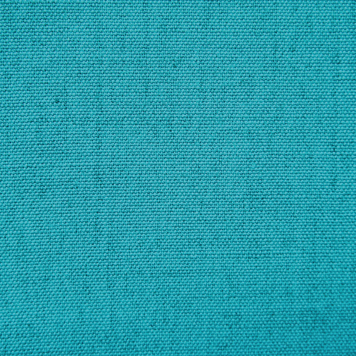 gdt56320120-kuu-oceano-gaston-y-daniela