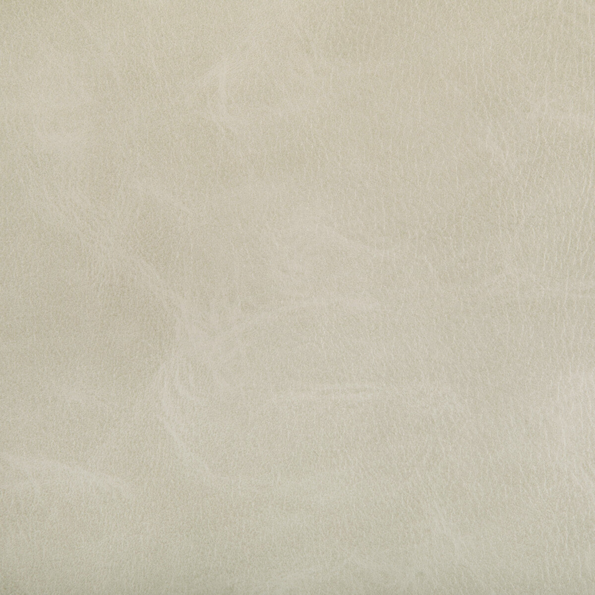 toni10-toni-tusk-kravet-contract - KRAVET CONTRACT Fabric
