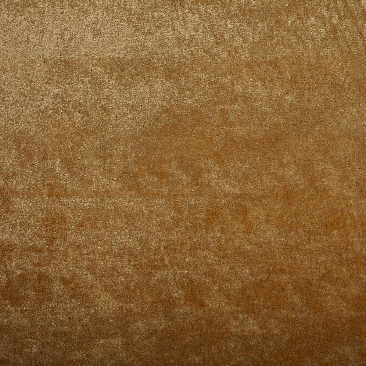 36065120-triumphant-tuscan-kravet-couture