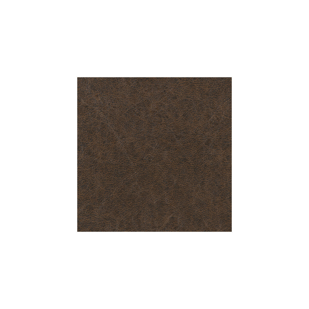 wpw1133wt0-enduring-chestnut-winfield-thybony
