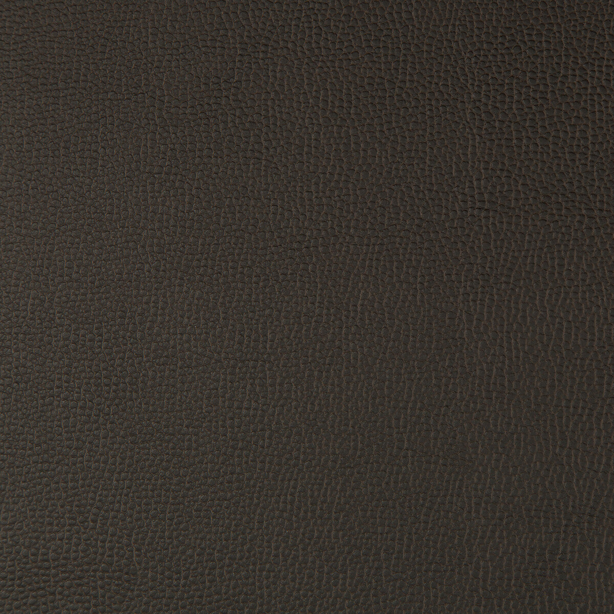 lenox660-lenox-java-kravet-contract