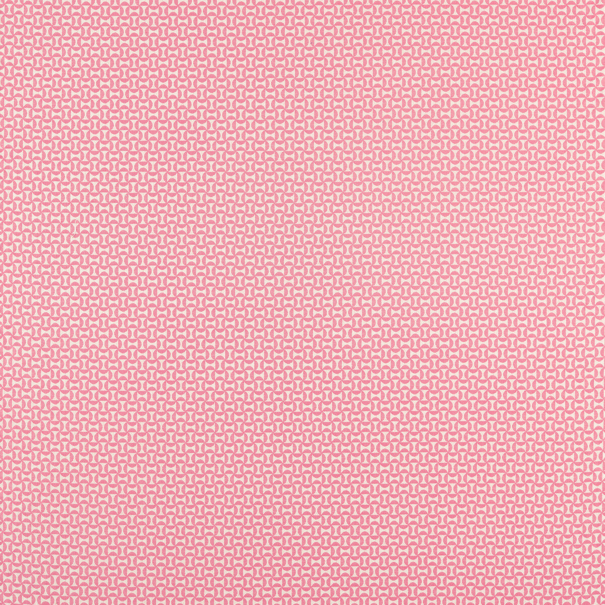 nzac132929scn0-forma-flamingo-scion