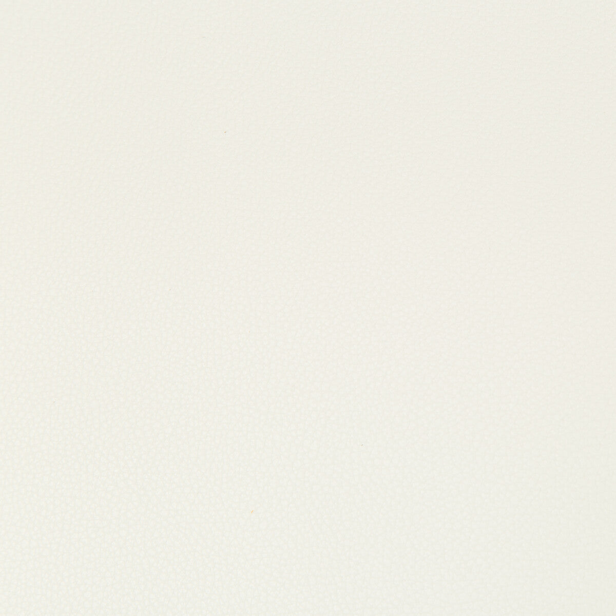 syrus10-syrus-gesso-kravet-contract