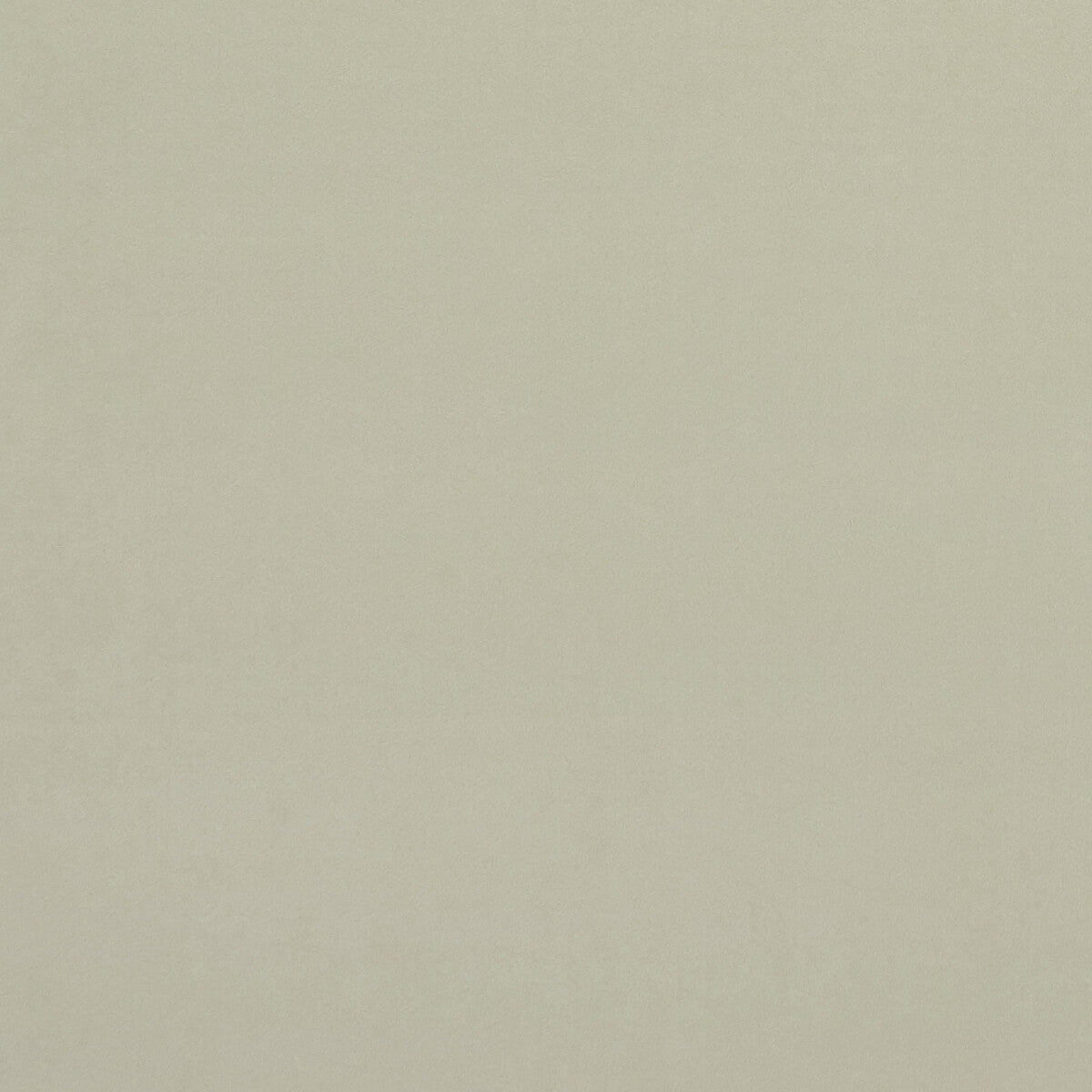 f075374cac0-alvar-ivory-clarke-and-clarke - CLARKE AND CLARKE Fabric