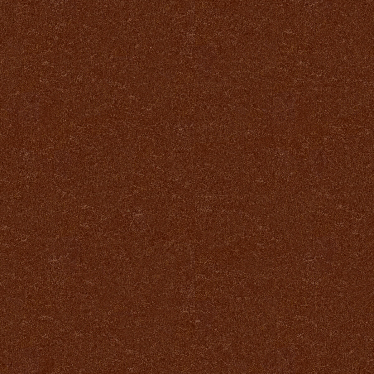 captured6060-captured-cappucio-kravet-couture