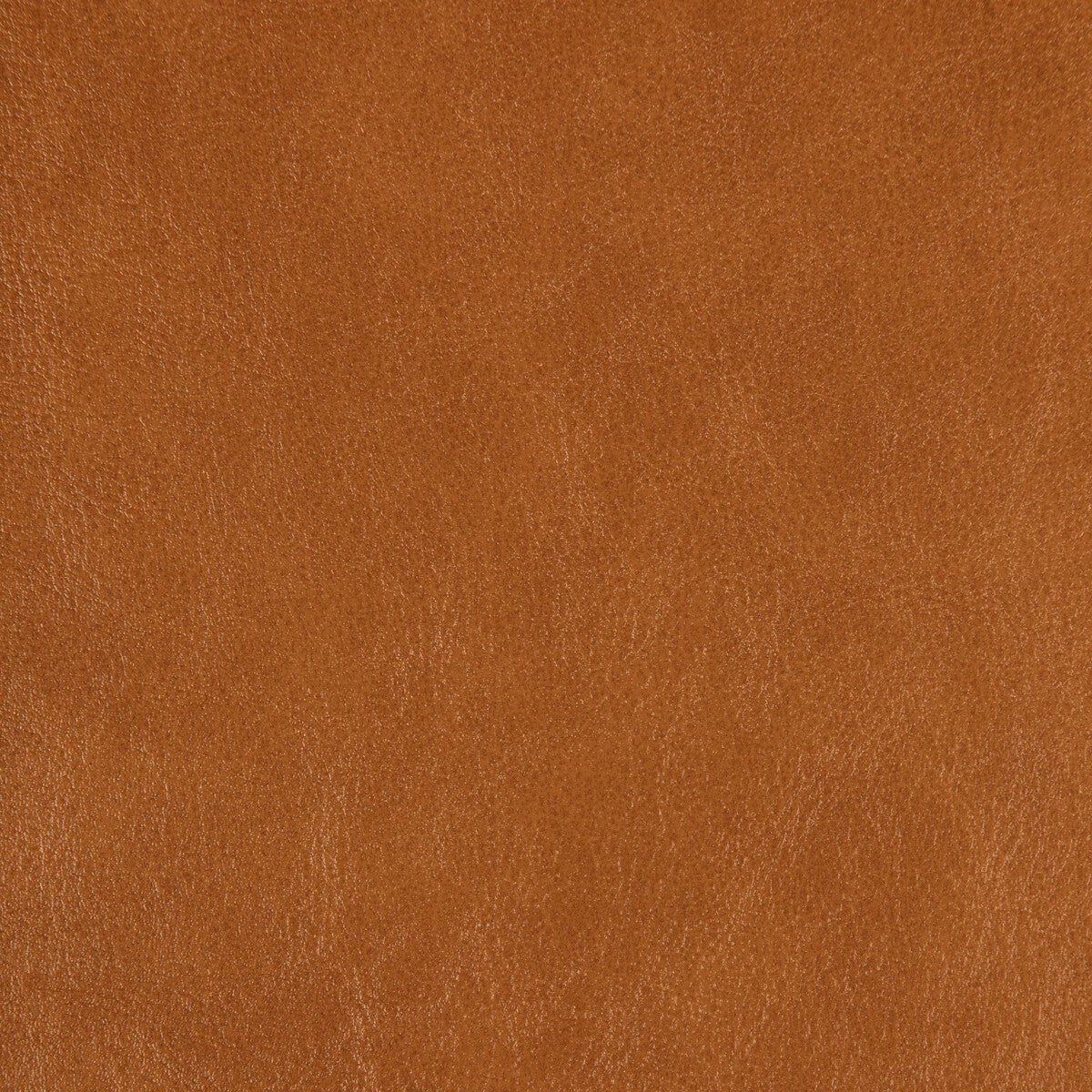 zenon60-kravet-design-zenon-6-kravet-design - KRAVET DESIGN Fabric