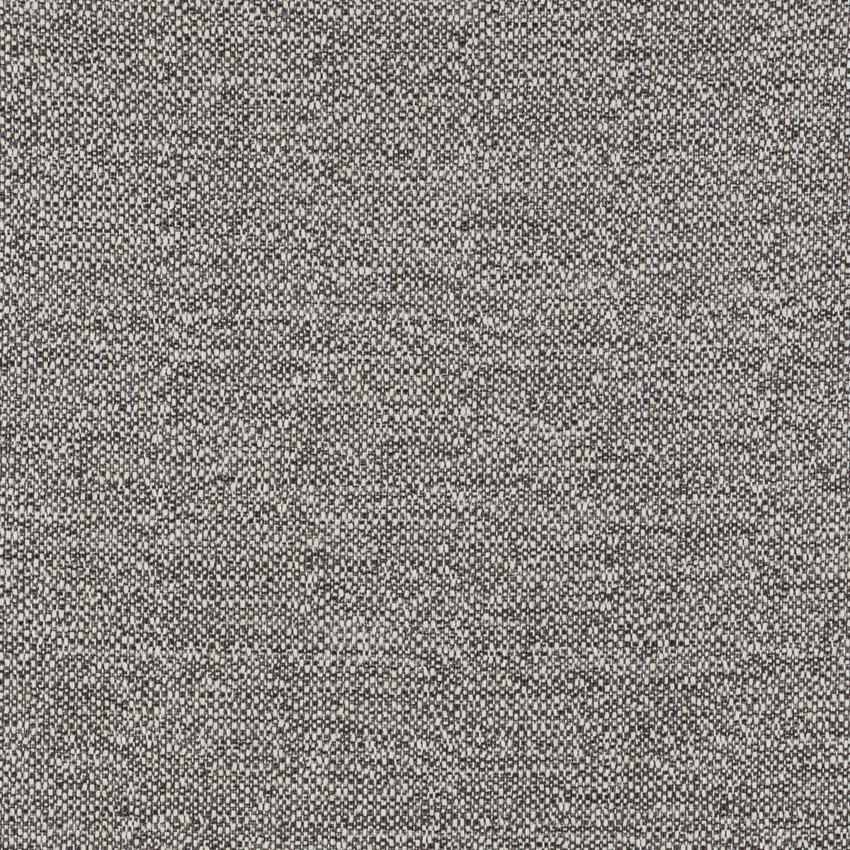 gdt55080030-in-gris-gaston-y-daniela