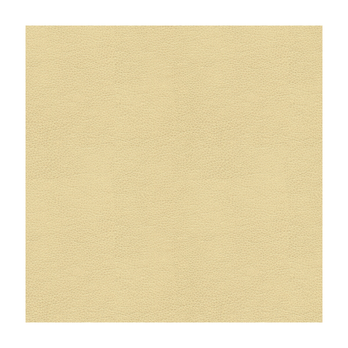 alina1160-kravet-smart-alina-116-kravet-smart