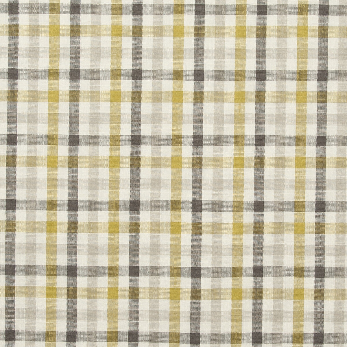 f073801cac0-hatfield-acacia-clarke-and-clarke - CLARKE AND CLARKE Fabric